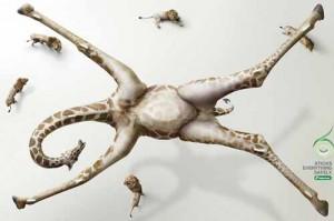 giraffe glued to ceiling